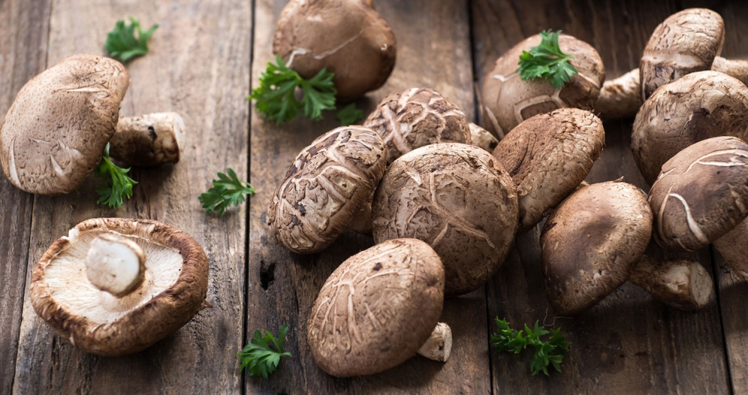 shiitake-fungi-mushroom